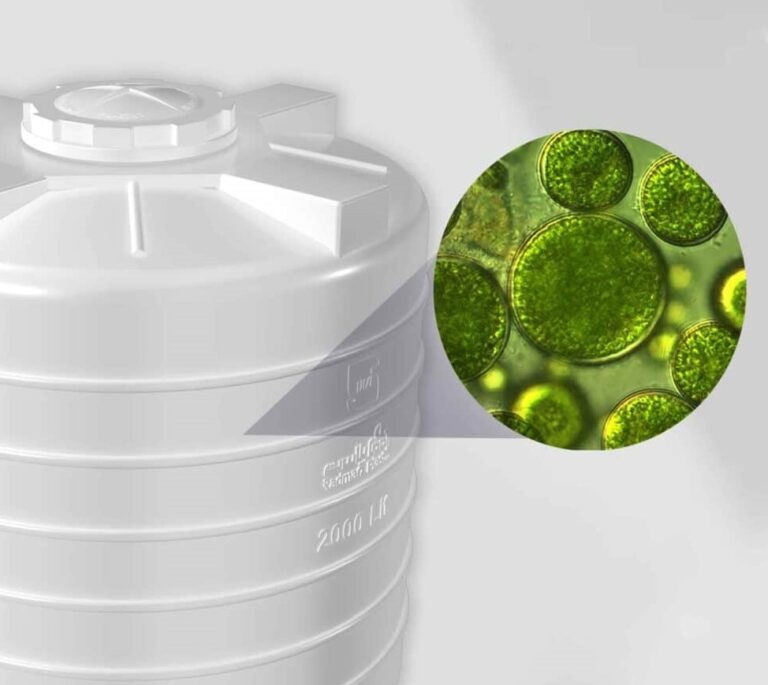 چگونه از رشد جلبک در مخزن جلوگیری کنیم؟